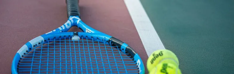 Sportwetten Österreich